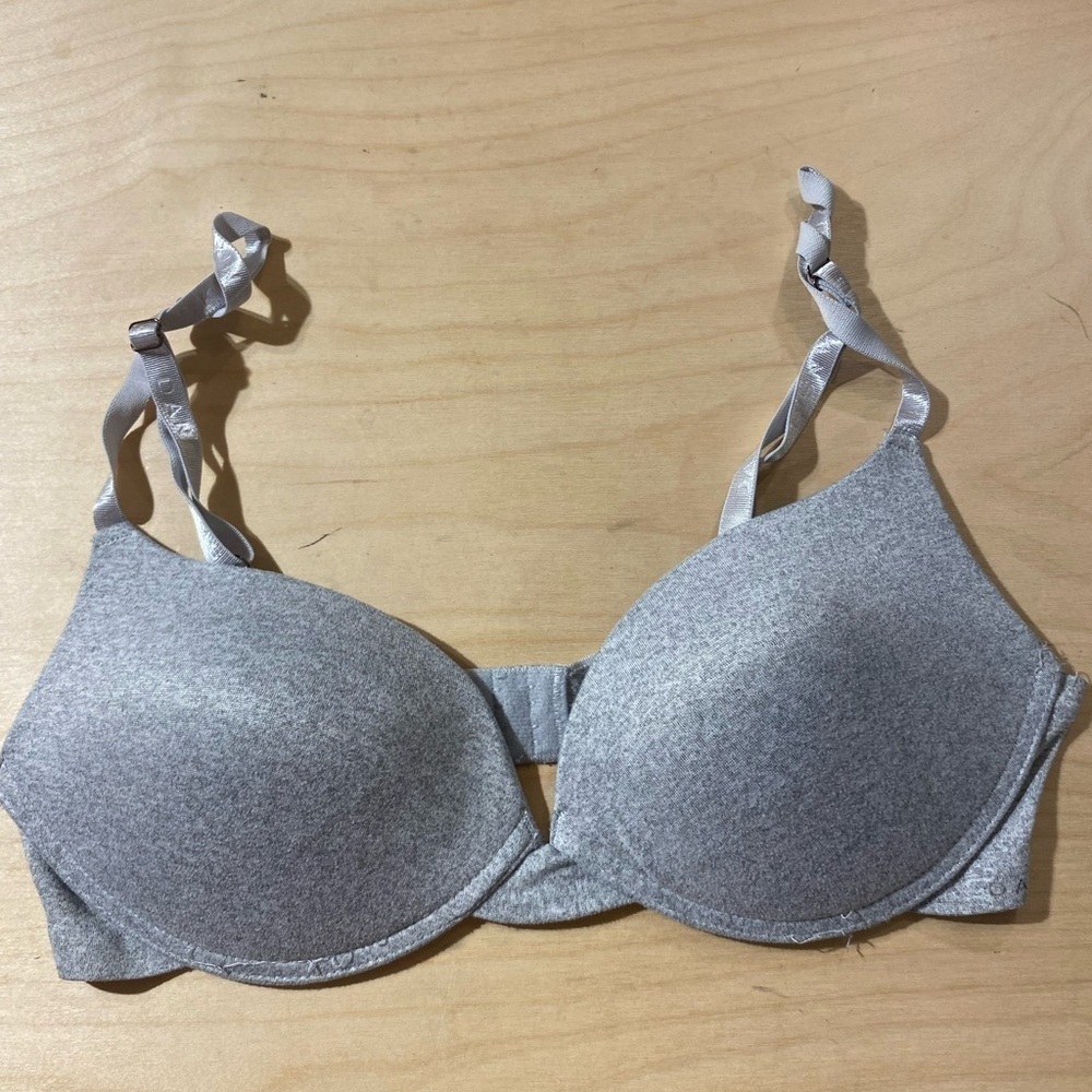 Danskin intimates Bra 34C (HL)